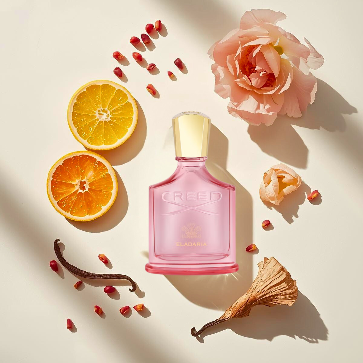 Creed Eladaria – nasza opinia (2025)