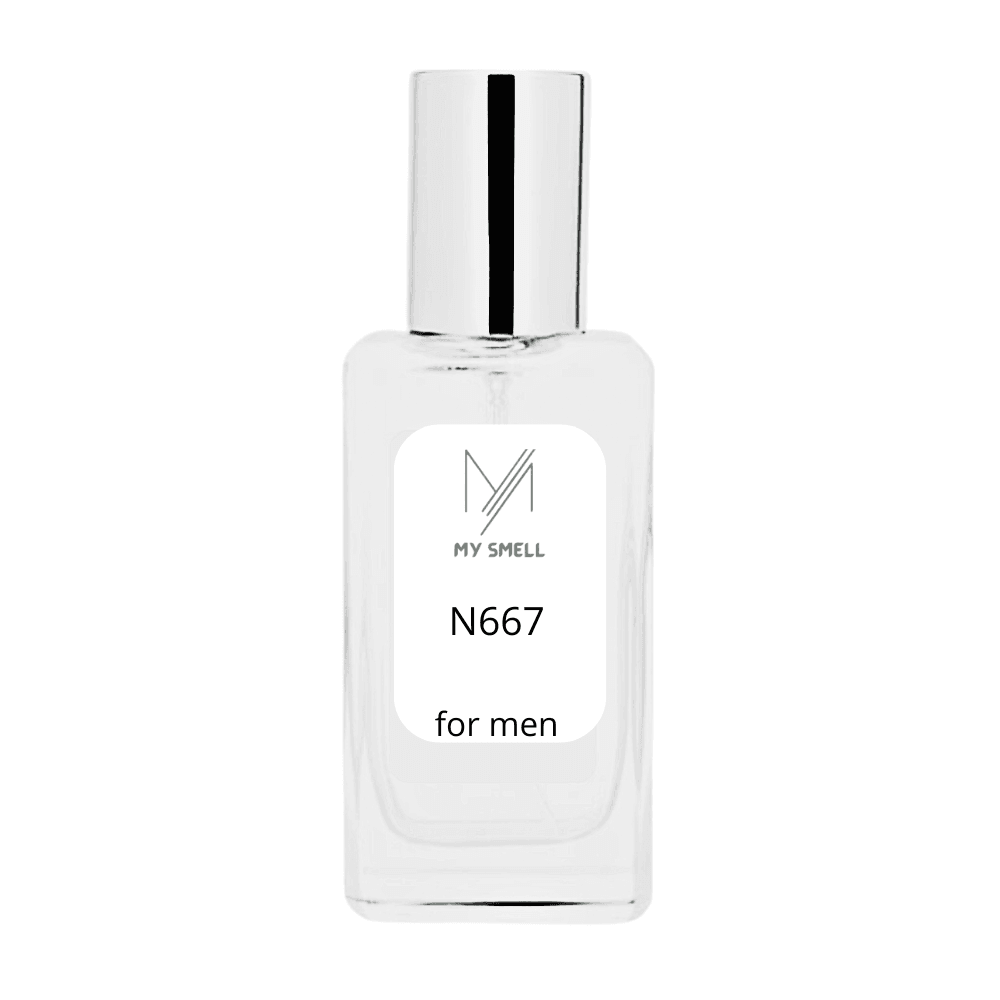 MY SMELL NR N667 - My-Smell.pl